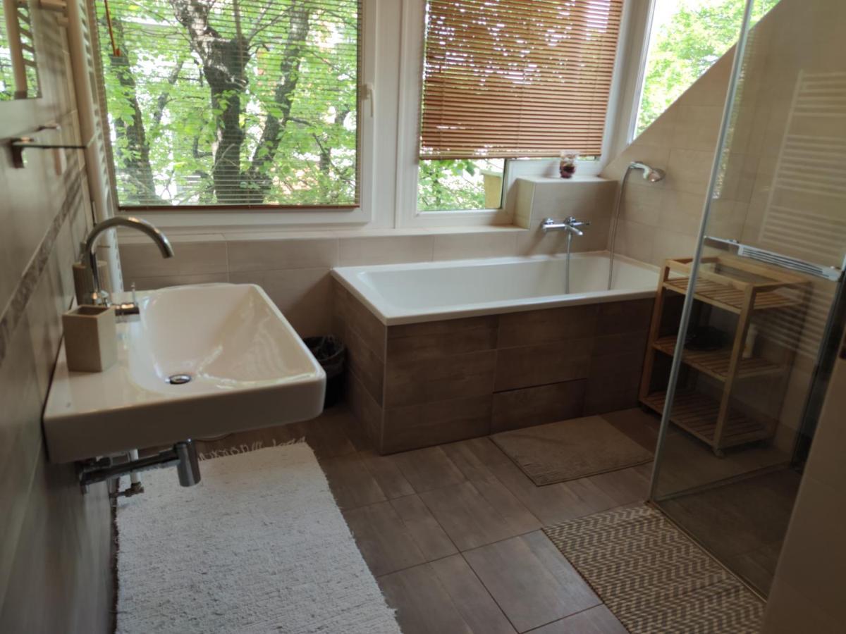 Attic Parkview Apartment 피에슈타니 외부 사진